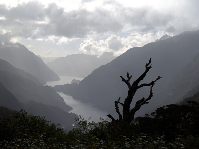 Doubtful Sound